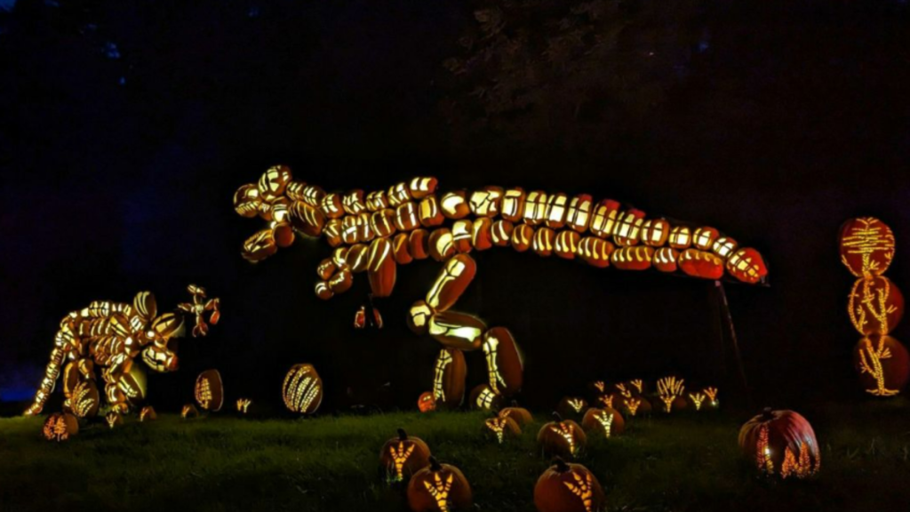 The Great Jack O Lantern Blaze